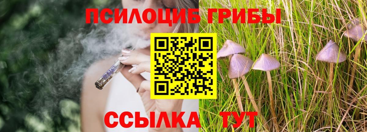 Галлюциногенные грибы MAGIC MUSHROOMS Глазов