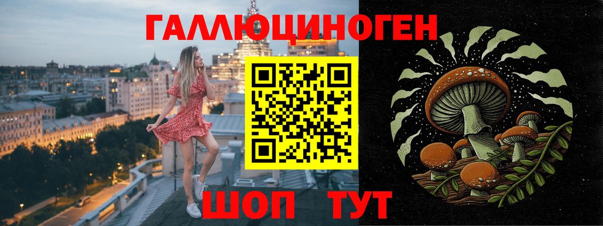 Галлюциногенные грибы GOLDEN TEACHER  наркотики  Псилоцибиновые грибы Cubensis  Глазов  Вход с VPN 